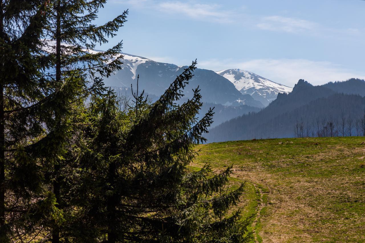 Apartmán Apartament Lukka Zakopane Exteriér fotografie